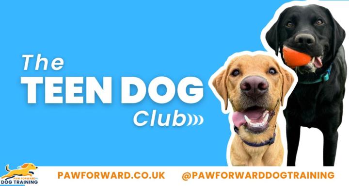 Teen Dog Club