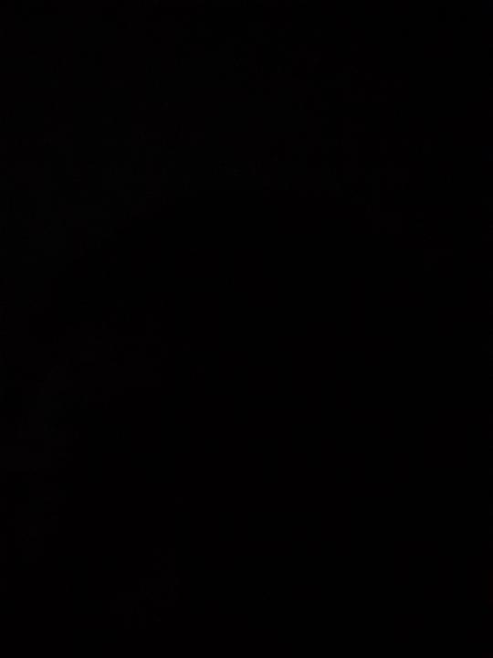 Asd Pro