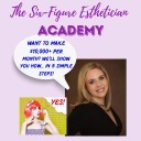 Six-Figure Esthetician Academy