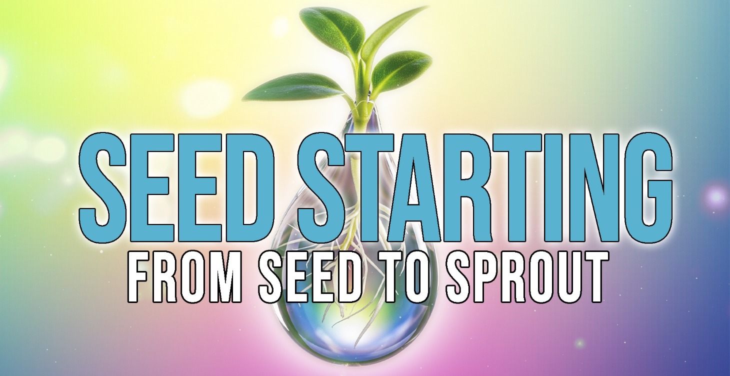 Seed Starting Guide