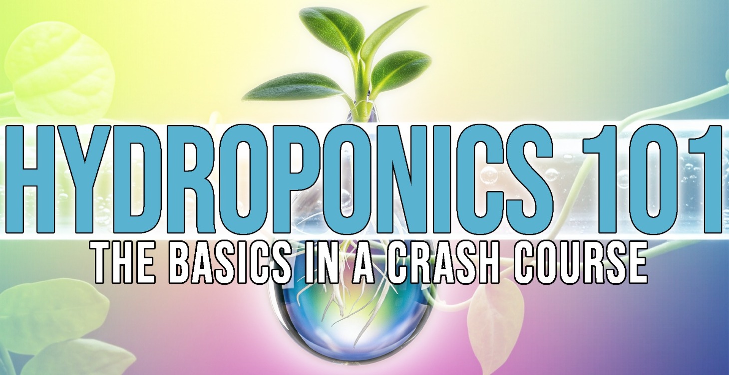 Hydroponics 101