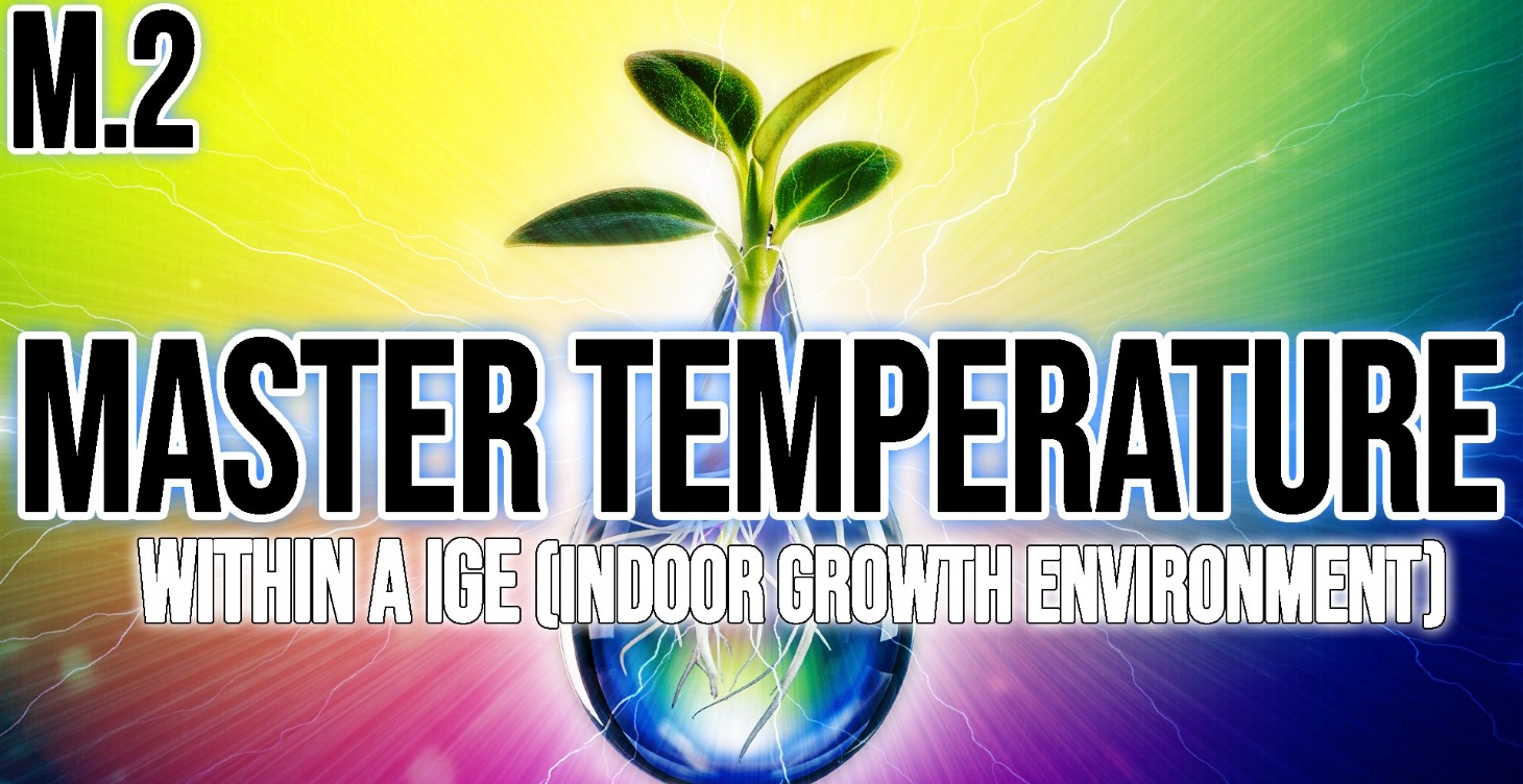 Master Temperature