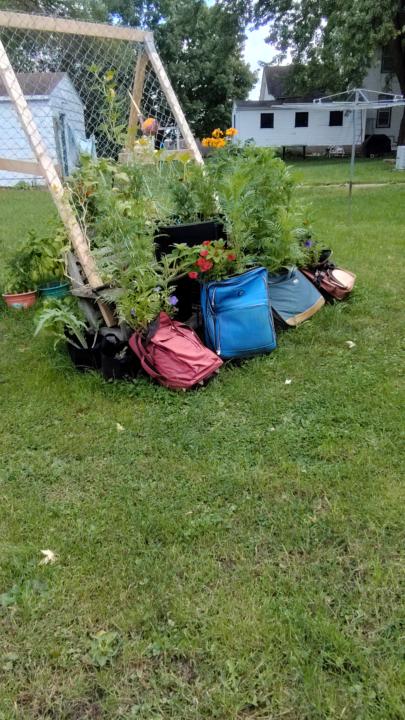 Would you? Could you?🤔