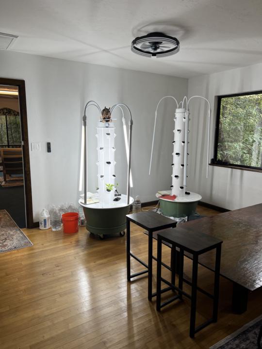 We've moved to a cottage in the woods