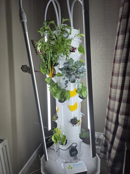 Everything is now perfect 👌 