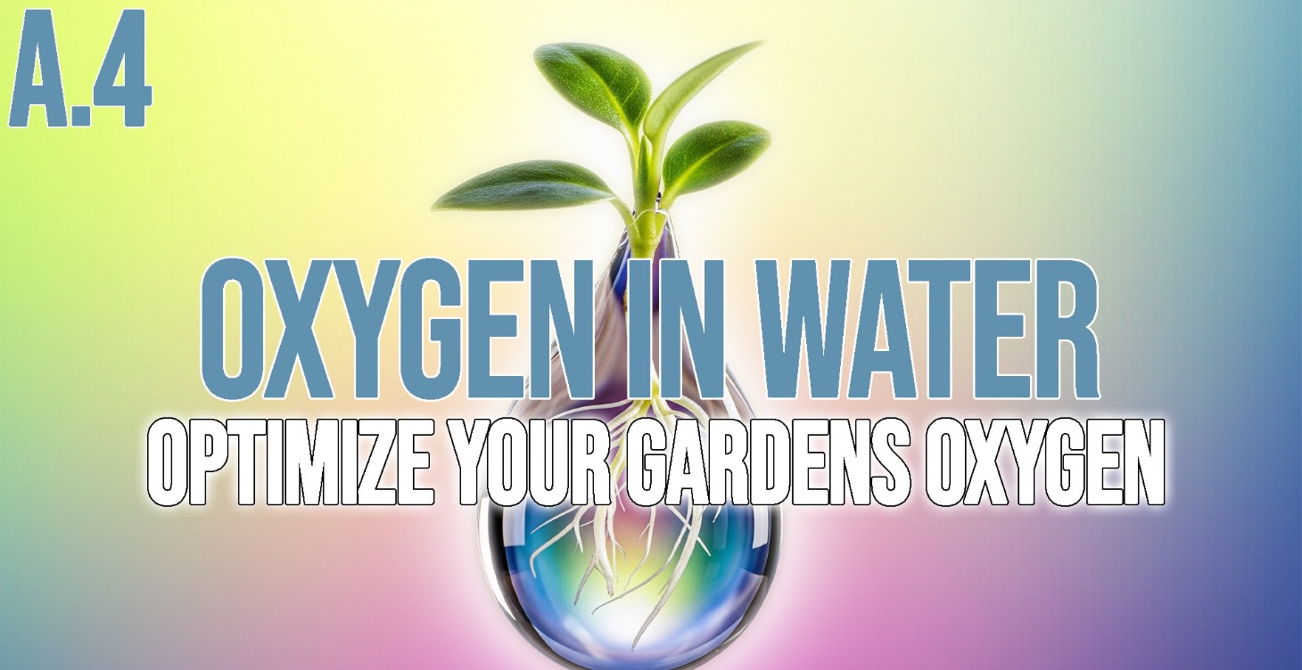 Oxygen In Water