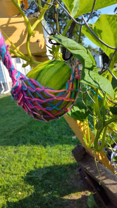 Crafty in the garden 🧶
