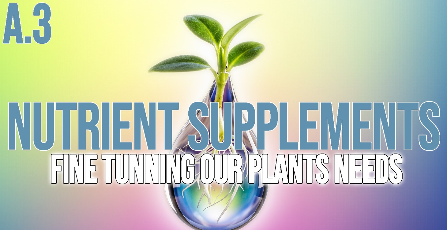 Nutrient Supplements
