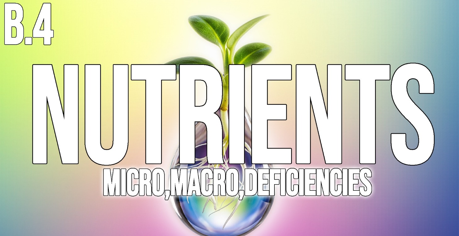 Nutrients