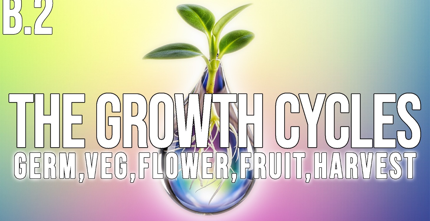 The Growth Cycles