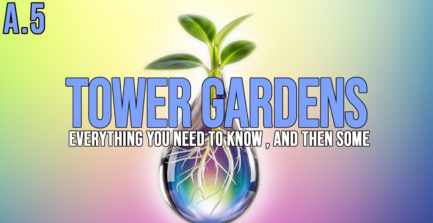 Tower Gardens