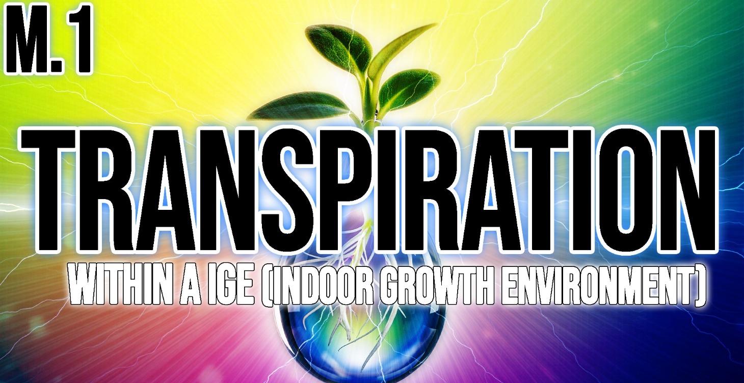 Master Level 1 Transpiration