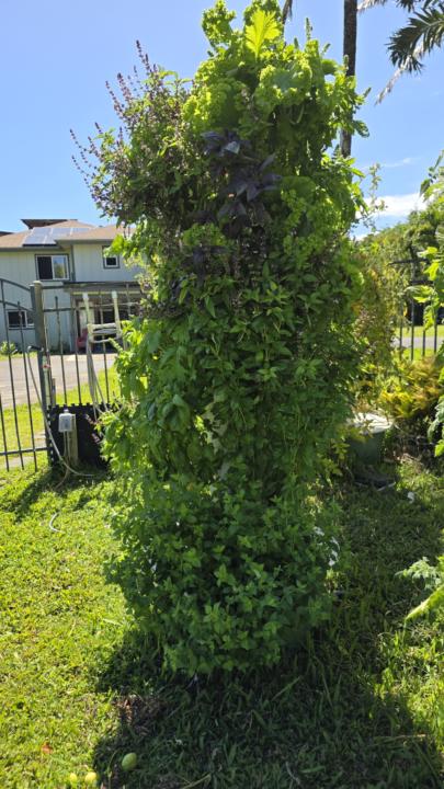 Can you spot the tower garden?