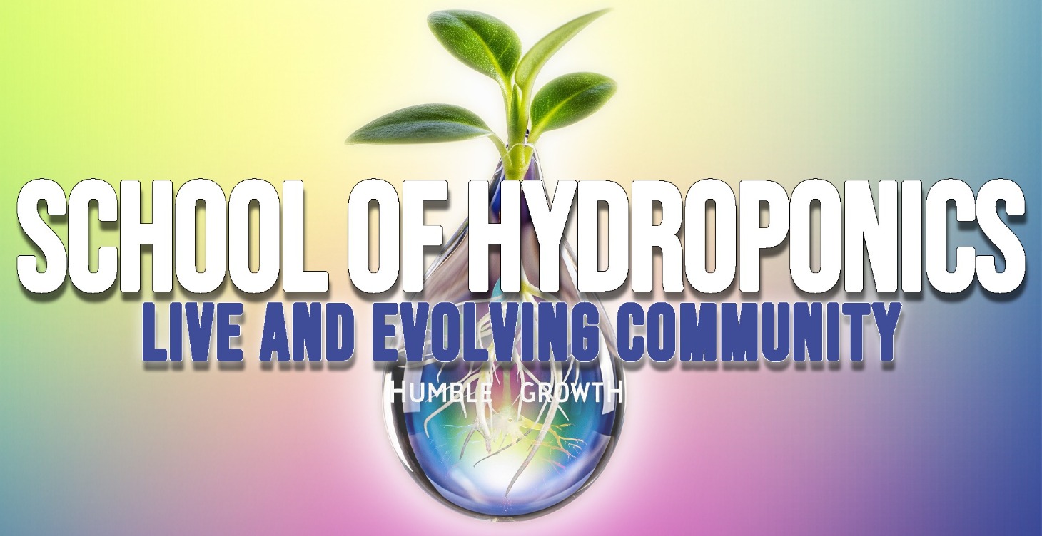 The School Of Hydroponics  | Live And Evolving