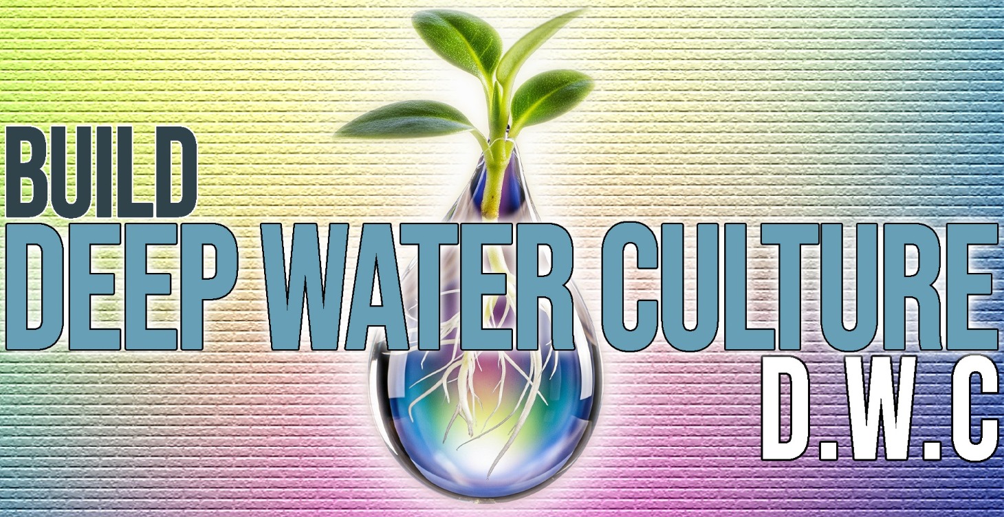 How To Build A Deep Water Culture
