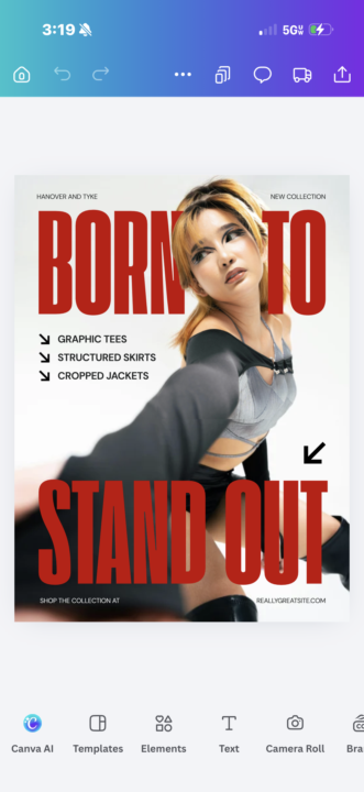 I love canva templates 