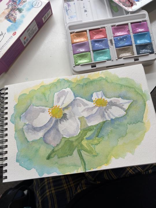 Light handed watercolour