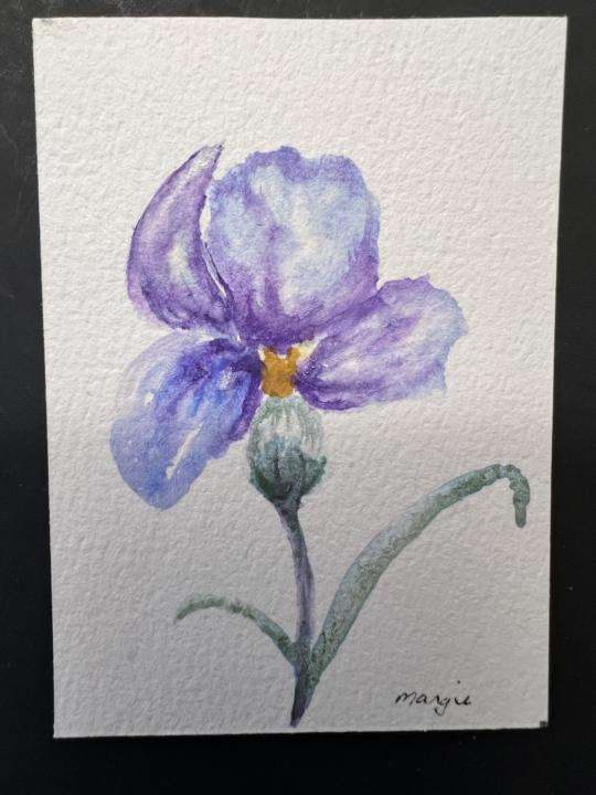 Trading card size purple flower