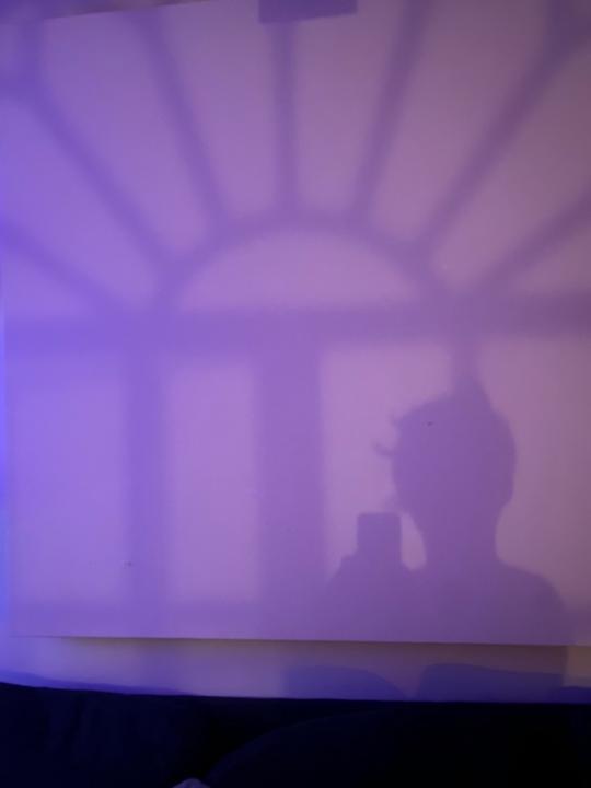 Marianela Pellegrino