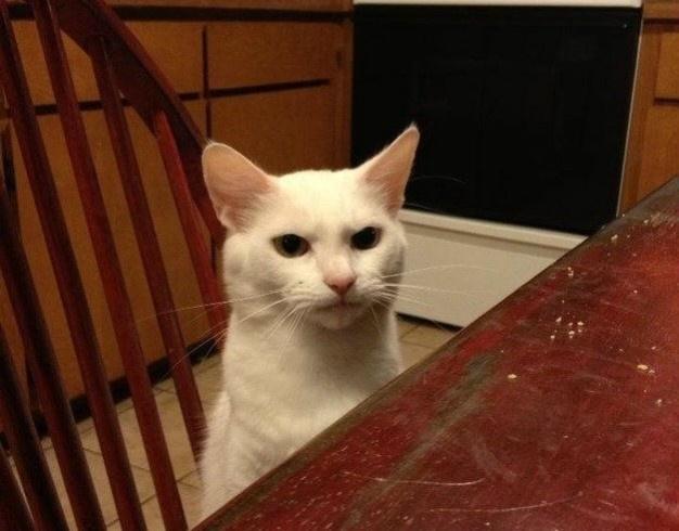 Christopher Williams