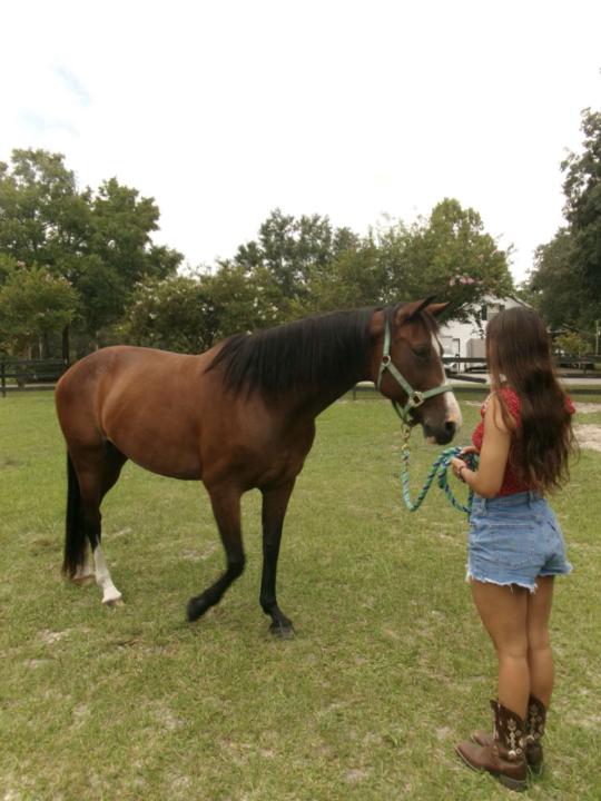 Equifilms Productions