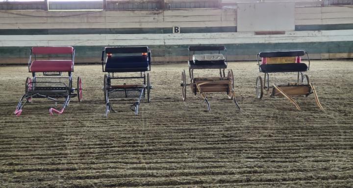 SilverRose Equestrian Driving