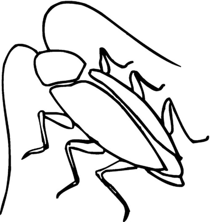 Roach Grim