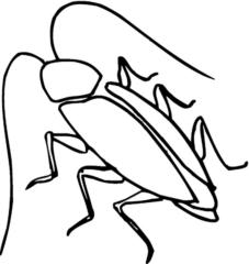 Roach Grim