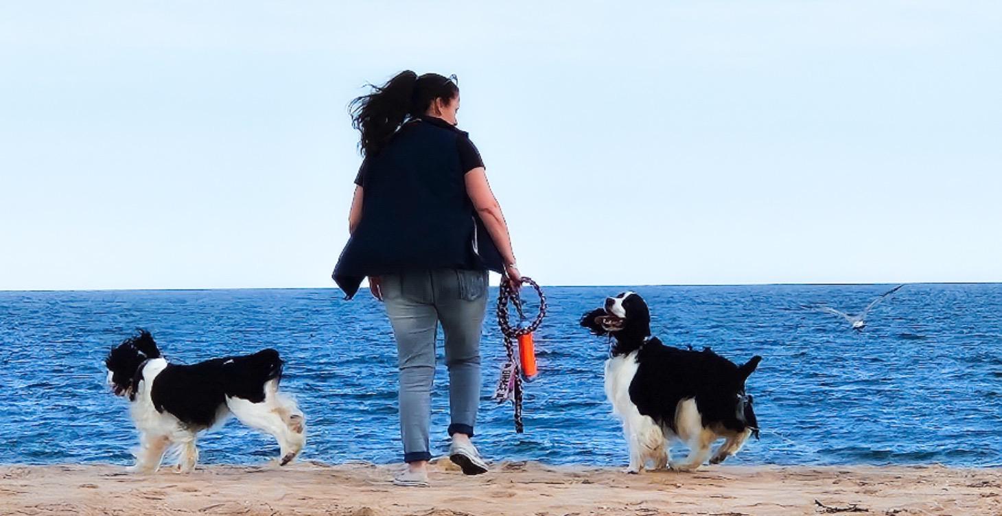 Working with Gracie and Jones
