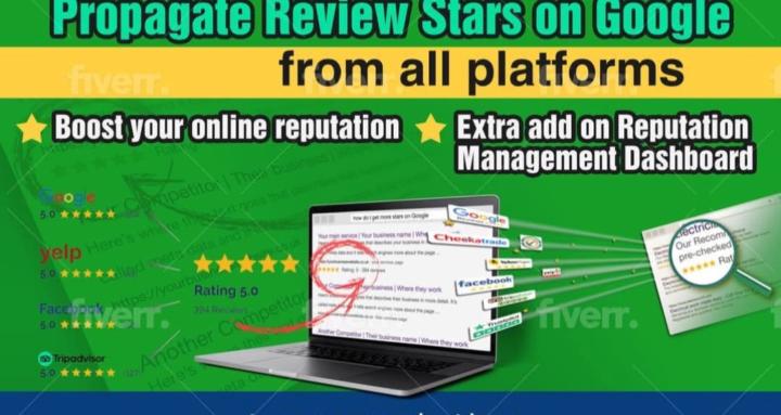 Learn, reply & collect reviews