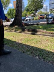 Muhammad Afiq Bin Muhammad Fairus