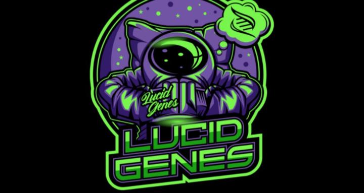 Lucidians