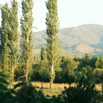 Ignacio G
