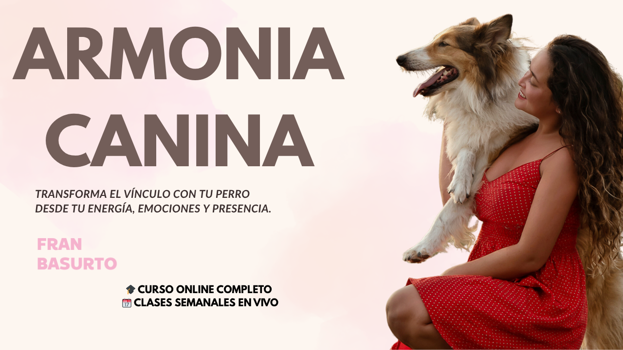 Educar a tu perro con armonía