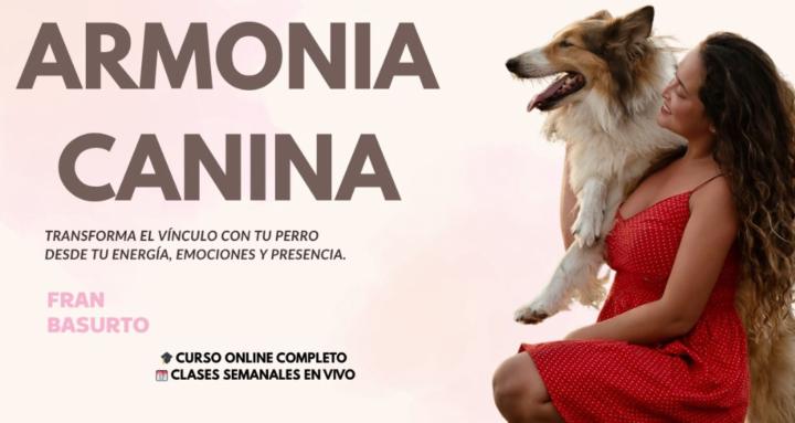 Educar a tu perro con armonía
