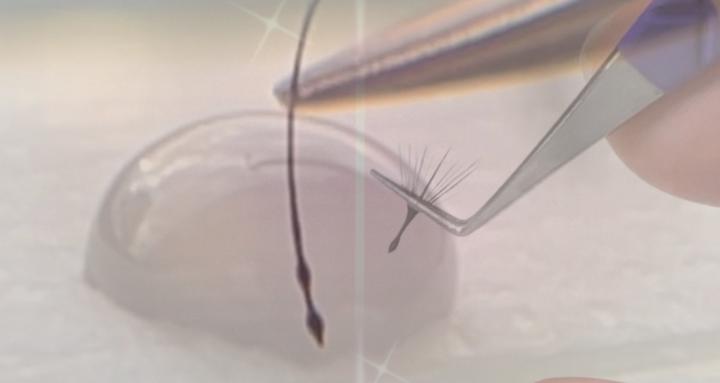 Thee Lash Girl Academy