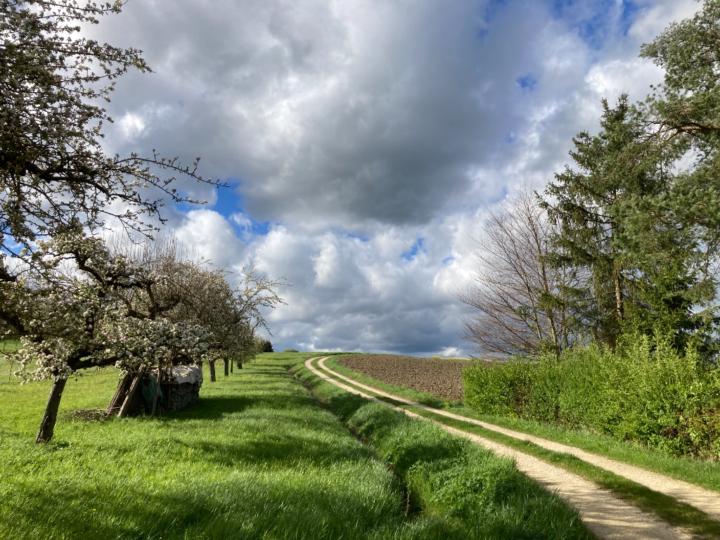 Loes Domburg
