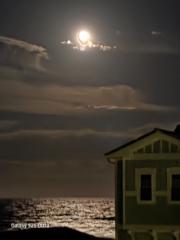 DonnaMarie Rajaniemi