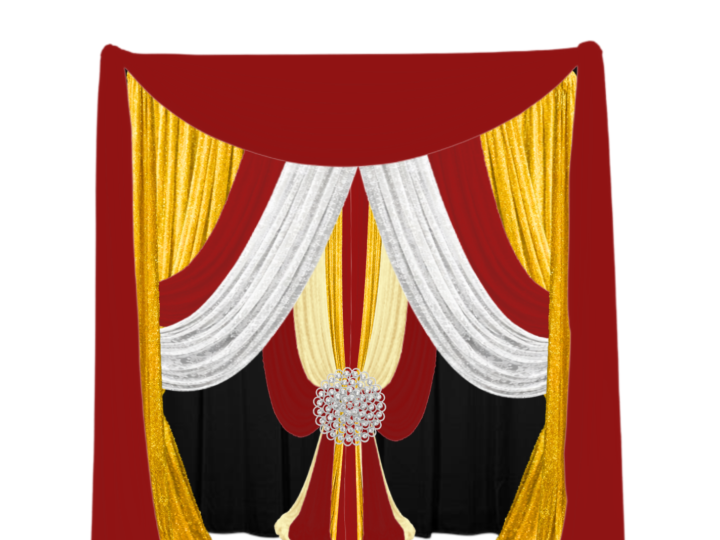 January – 2-Layer Signature Backdrop – LaTonya Mosley