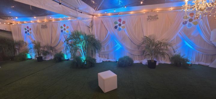 Premium Draping is Art - Layered, Textured & Intentional.