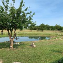 Angelia Taylor-Bunch