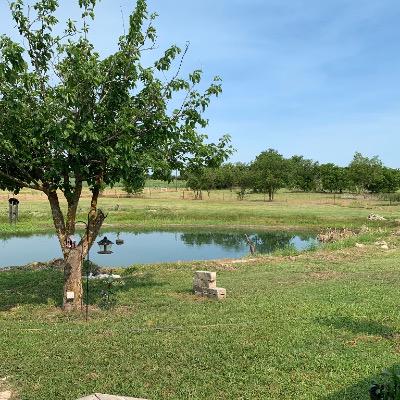 Angelia Taylor-Bunch