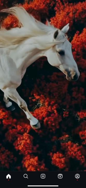 Ibtissame El hassani