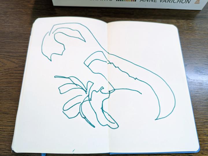 Prompt #3: 3 min. Blind Contour Shoe