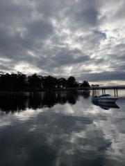 Carmen Vidal melendez