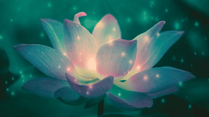 Jedi Calm Community trains you to embody oneness and calm power