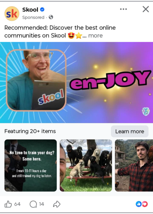 En-JOY-ing Skool ads?