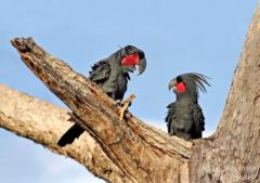 Alexandra Ukrainskaya