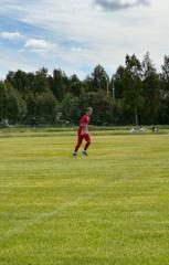 Albin Rehnmark
