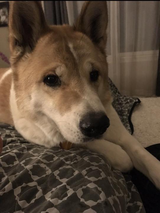 Please send Reiki my Reiki family 